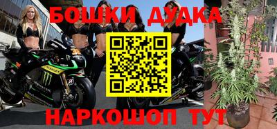 индика Гусь-Хрустальный