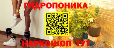 индика Гусь-Хрустальный