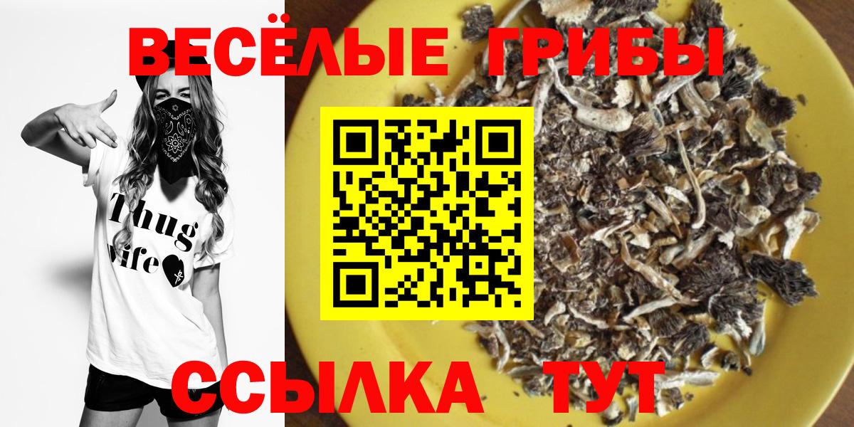 Можга  Галлюциногенные грибы прущие грибы  Вход с VPN 